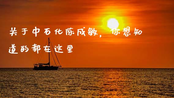 关于中石化陈成敏，你想知道的都在这里_https://m.letulww.com_股指期货交易时间_第1张