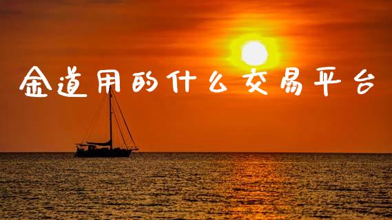 金道用的什么交易平台_https://m.letulww.com_期货交易软件_第1张