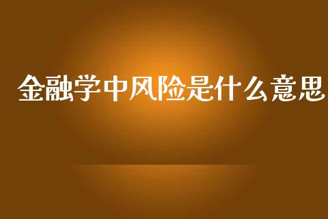 金融学中风险是什么意思_https://m.letulww.com_股指期货交易时间_第1张