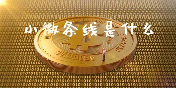 小微条线是什么_https://m.letulww.com_期货开户保证金_第1张