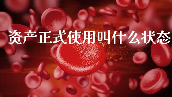 资产正式使用叫什么状态_https://m.letulww.com_股指期货交易时间_第1张
