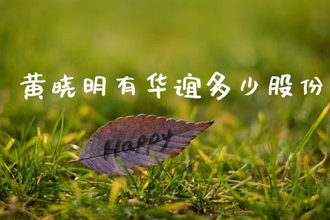 黄晓明有华谊多少股份_https://m.letulww.com_股指期货交易时间_第1张