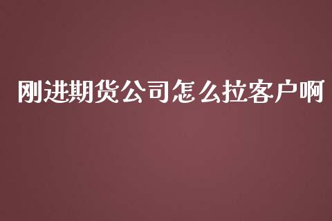 刚进期货公司怎么拉客户啊_https://m.letulww.com_期货交易软件_第1张