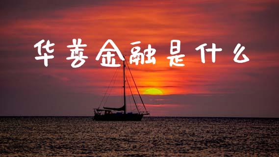 华善金融是什么_https://m.letulww.com_期货交易软件_第1张
