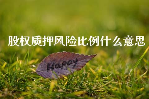 股权质押风险比例什么意思_https://m.letulww.com_股指期货交易时间_第1张