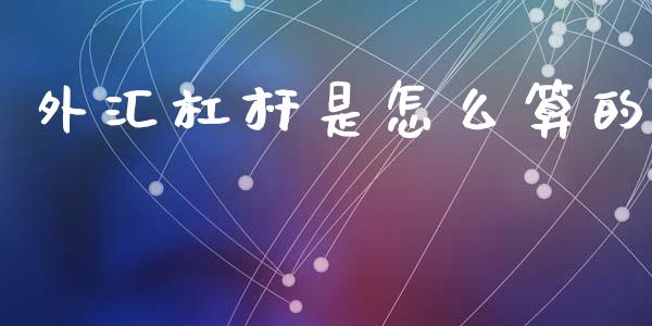 外汇杠杆是怎么算的_https://m.letulww.com_股指期货交易时间_第1张