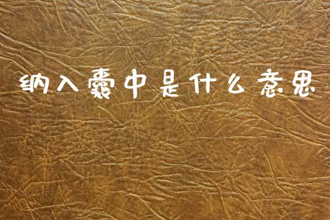 纳入囊中是什么意思_https://m.letulww.com_期货交易策略_第1张
