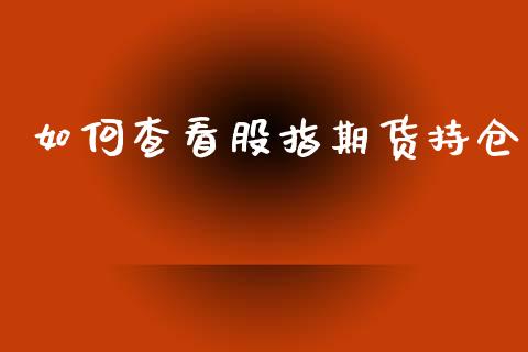 如何查看股指期货持仓_https://m.letulww.com_期货开户保证金_第1张