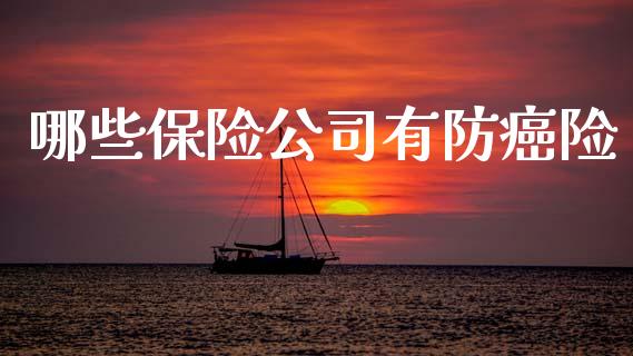 哪些保险公司有防癌险_https://m.letulww.com_期货开户保证金_第1张
