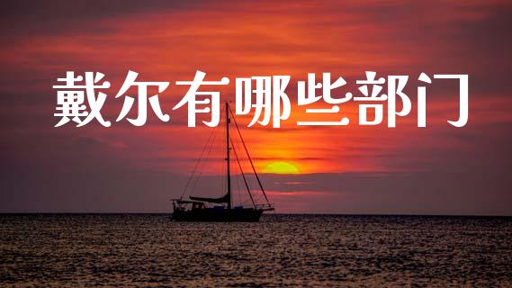 戴尔有哪些部门_https://m.letulww.com_股指期货交易时间_第1张