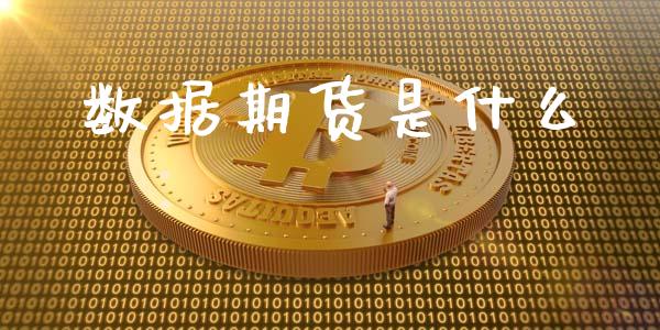 数据期货是什么_https://m.letulww.com_期货开户保证金_第1张