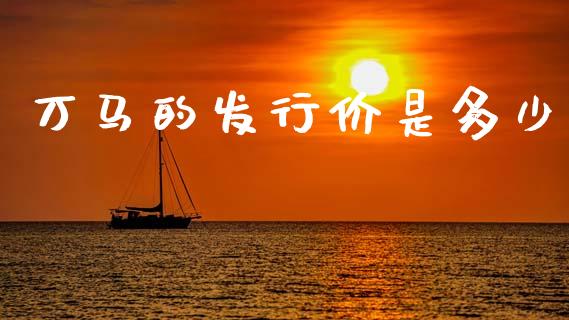万马的发行价是多少_https://m.letulww.com_期货开户保证金_第1张