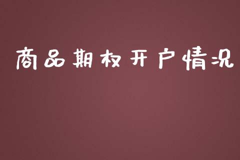 商品期权开户情况_https://m.letulww.com_期货开户保证金_第1张