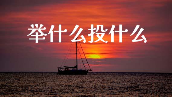举什么投什么_https://m.letulww.com_期货开户保证金_第1张