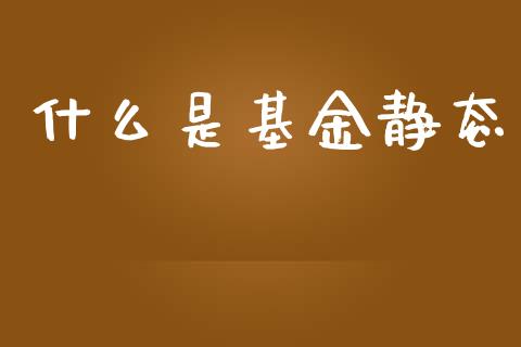 什么是基金静态_https://m.letulww.com_期货交易软件_第1张