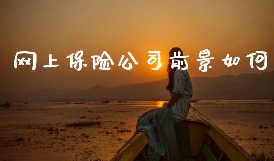 网上保险公司前景如何_https://m.letulww.com_期货开户保证金_第1张