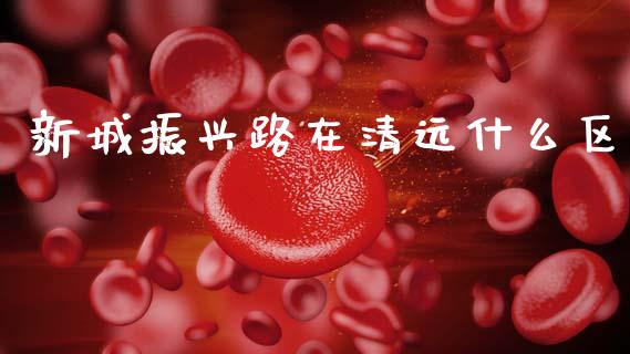 新城振兴路在清远什么区_https://m.letulww.com_期货交易软件_第1张