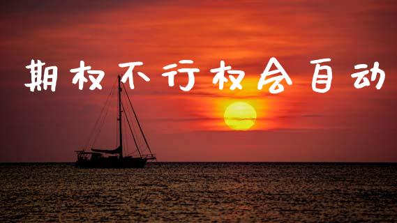 期权不行权会自动_https://m.letulww.com_期货交易策略_第1张