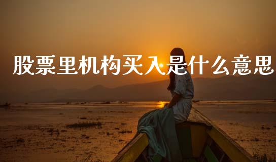 股票里机构买入是什么意思_https://m.letulww.com_股指期货交易时间_第1张