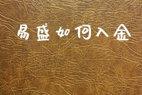 易盛如何入金_https://m.letulww.com_股指期货交易时间_第1张