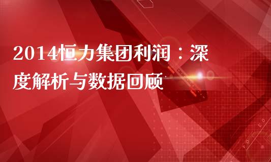 2014恒力集团利润：深度解析与数据回顾_https://m.letulww.com_期货交易策略_第1张