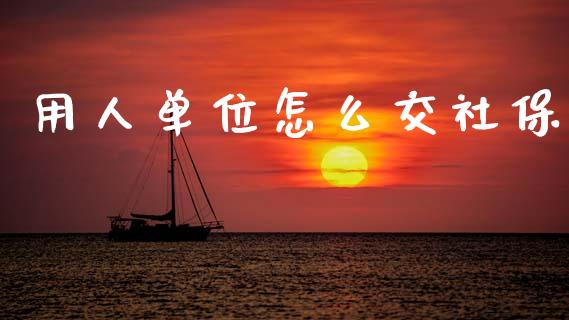 用人单位怎么交社保_https://m.letulww.com_股指期货交易时间_第1张