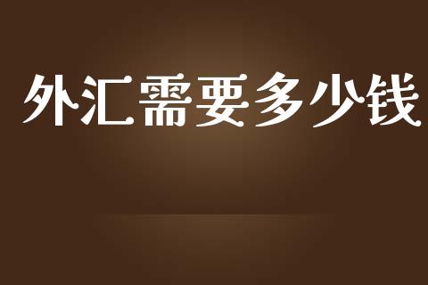 外汇需要多少钱_https://m.letulww.com_期货交易软件_第1张