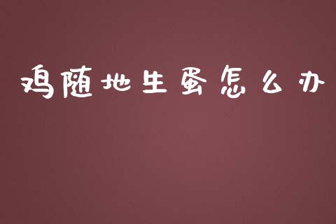 鸡随地生蛋怎么办_https://m.letulww.com_期货交易软件_第1张