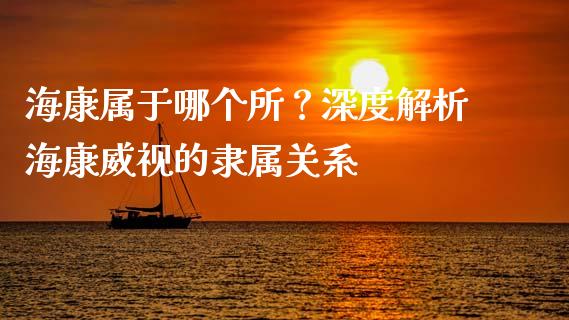 海康属于哪个所？深度解析海康威视的隶属关系_https://m.letulww.com_期货交易软件_第1张