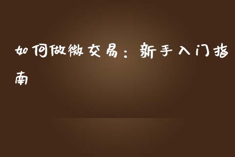 如何做微交易：新手入门指南_https://m.letulww.com_股指期货交易时间_第1张