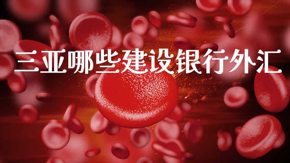 三亚哪些建设银行外汇_https://m.letulww.com_期货开户保证金_第1张