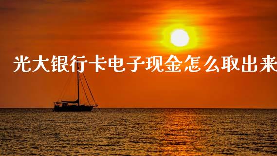 光大银行卡电子现金怎么取出来_https://m.letulww.com_期货交易软件_第1张