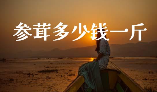 参茸多少钱一斤_https://m.letulww.com_期货交易软件_第1张