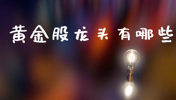 黄金股龙头有哪些_https://m.letulww.com_期货开户保证金_第1张