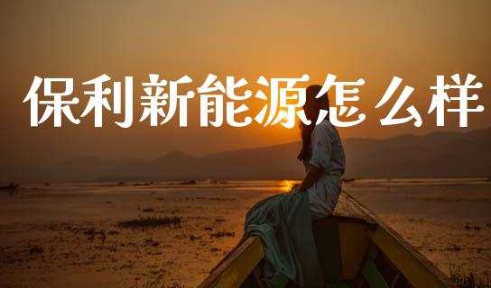 保利新能源怎么样_https://m.letulww.com_期货交易策略_第1张