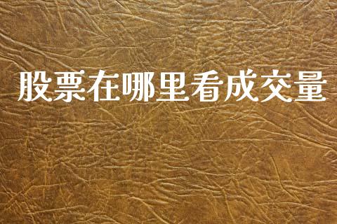 股票在哪里看成交量_https://m.letulww.com_股指期货交易时间_第1张