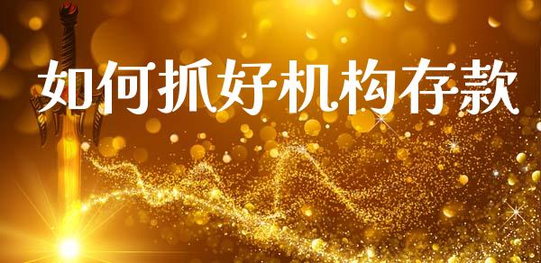 如何抓好机构存款_https://m.letulww.com_期货交易软件_第1张