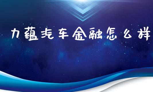 力蕴汽车金融怎么样_https://m.letulww.com_期货开户保证金_第1张