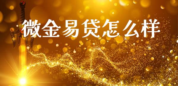 微金易贷怎么样_https://m.letulww.com_期货开户保证金_第1张