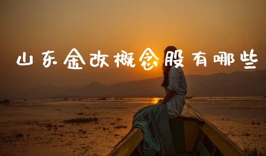 山东金改概念股有哪些_https://m.letulww.com_期货交易软件_第1张