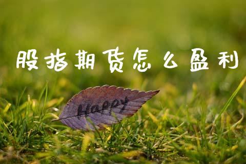 股指期货怎么盈利_https://m.letulww.com_期货交易策略_第1张
