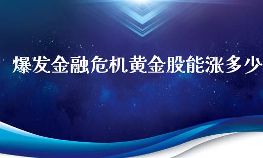 爆发金融危机黄金股能涨多少_https://m.letulww.com_期货开户保证金_第1张