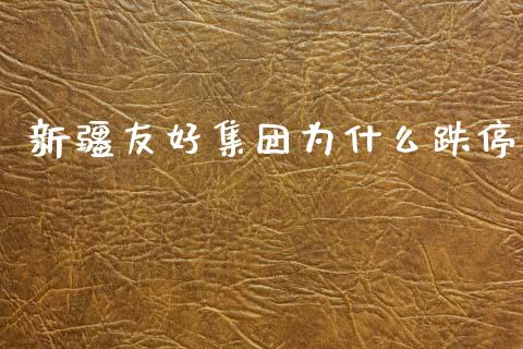 新疆友好集团为什么跌停_https://m.letulww.com_期货开户保证金_第1张