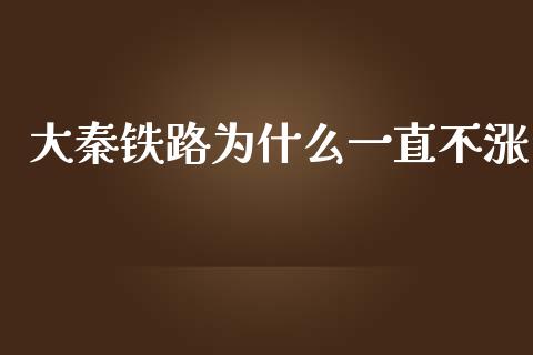 大秦铁路为什么一直不涨_https://m.letulww.com_期货交易策略_第1张