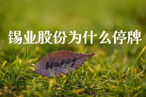 锡业股份为什么停牌_https://m.letulww.com_期货交易策略_第1张