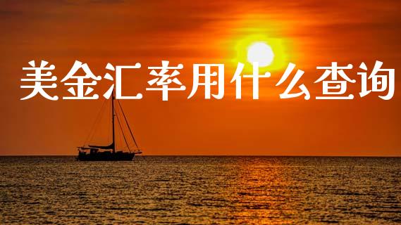 美金汇率用什么查询_https://m.letulww.com_期货交易策略_第1张