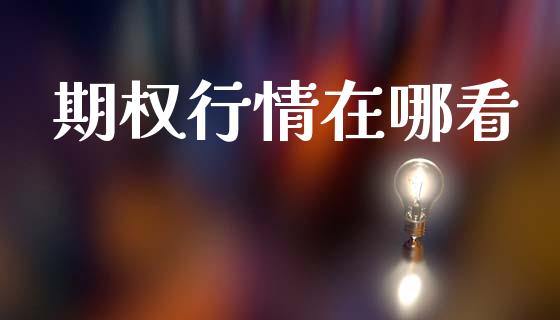 期权行情在哪看_https://m.letulww.com_期货交易软件_第1张