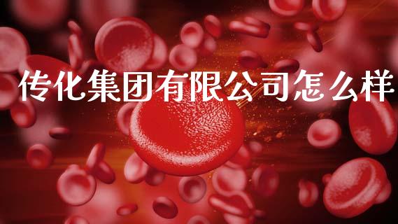 传化集团有限公司怎么样_https://m.letulww.com_期货开户保证金_第1张