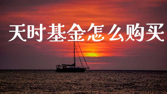 天时基金怎么购买_https://m.letulww.com_期货交易软件_第1张