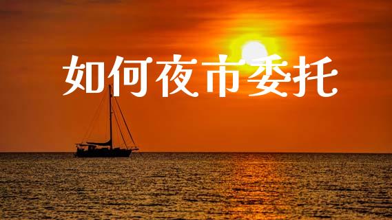 如何夜市委托_https://m.letulww.com_期货交易软件_第1张